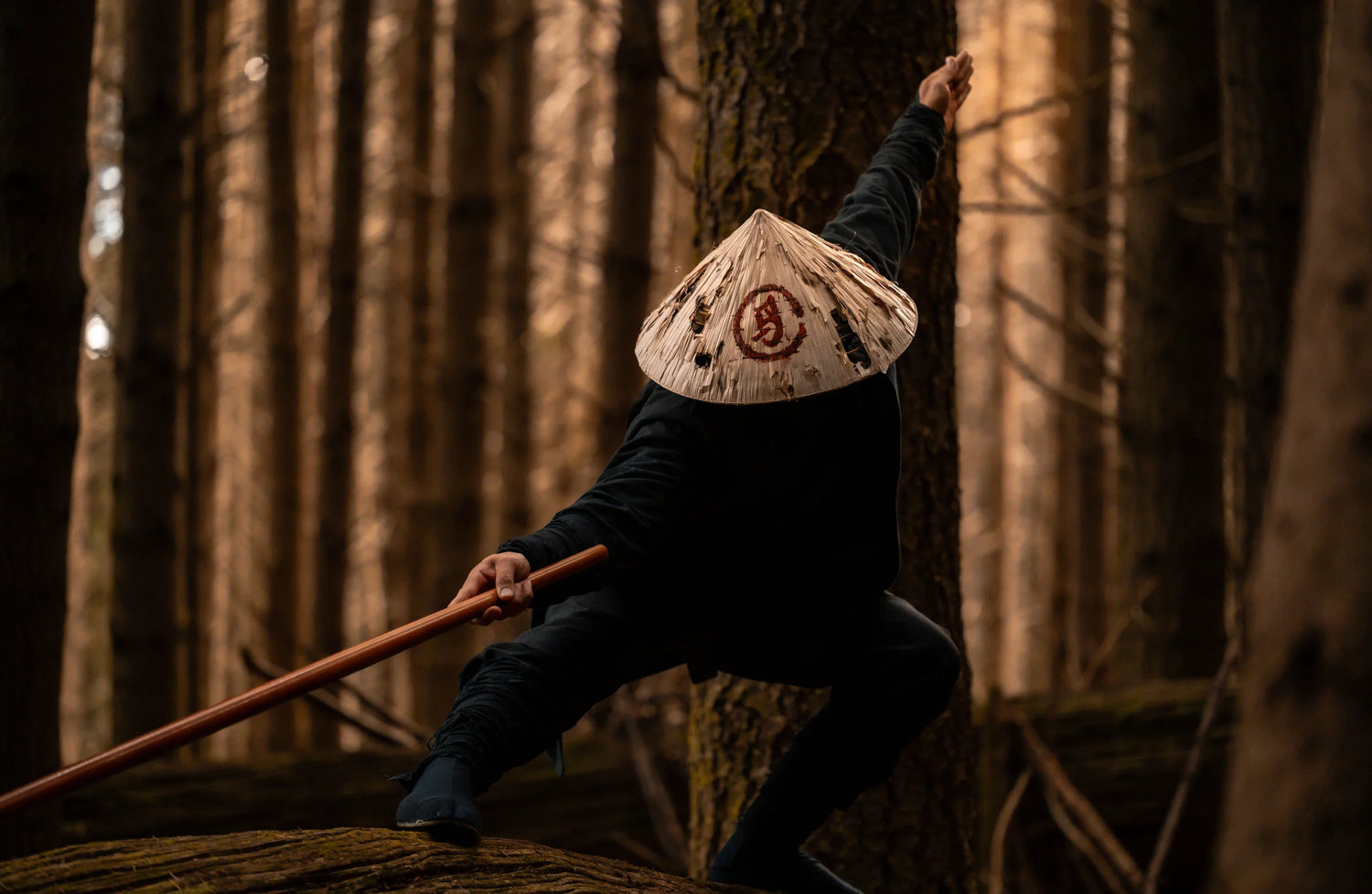 Tranh Irezumi Nghệ Thuật